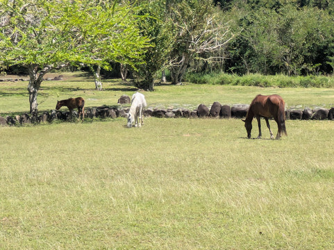 Tibes Indigenous Ceremonial Center-庞塞必去景点