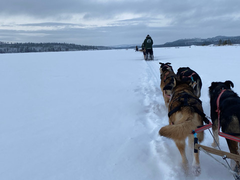 Wild Lapland-Rusktrask必去景点