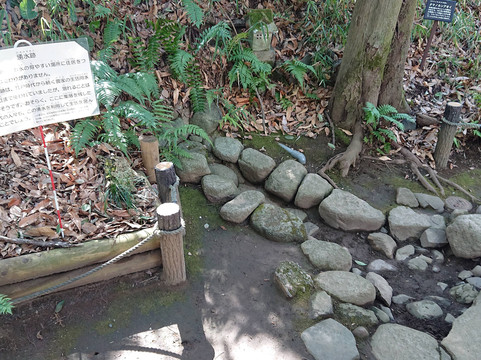 Tokyo Metropolitan Archaeological Center-多摩市必去景点