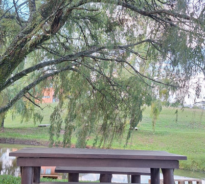 Villa Francioni-Sao Joaquim必去景点