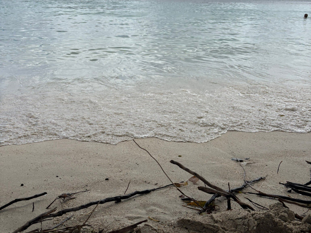 Anse Figuier-Riviere-Pilote必去景点