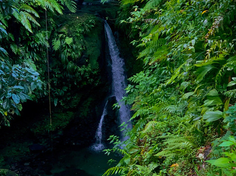 Jacko Falls-Morne Trois Pitons National Park必去景点