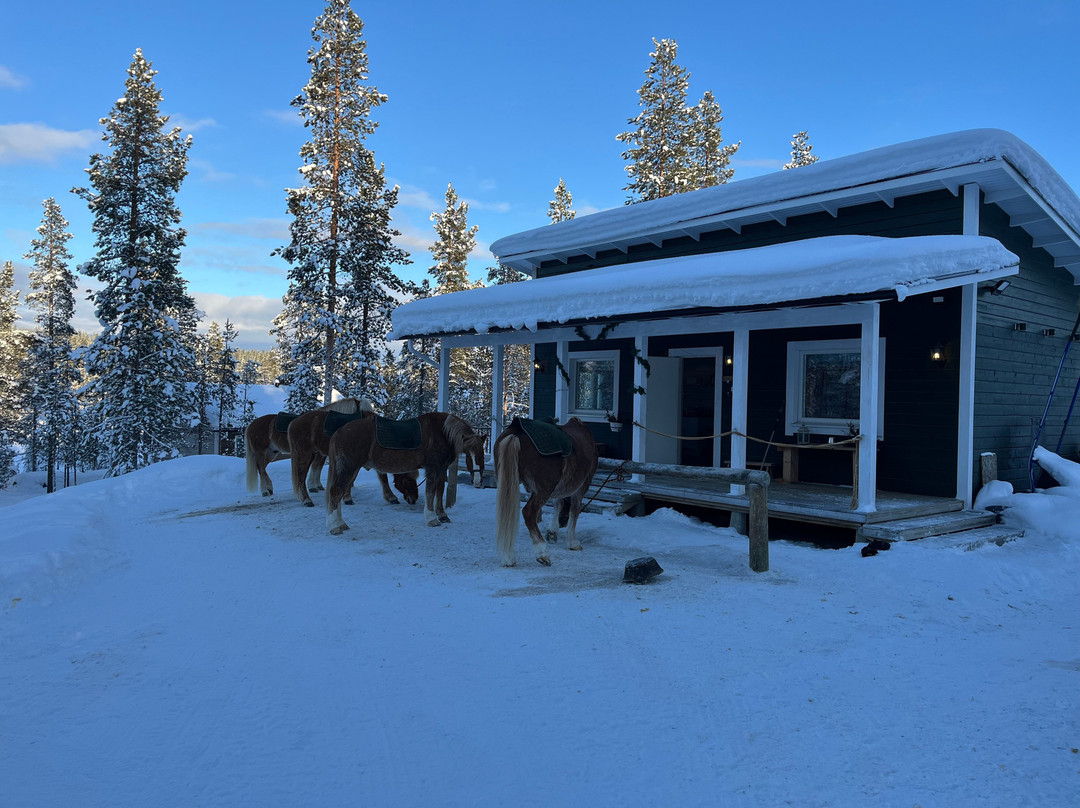 Polaris Point Horses-撒利塞卡必去景点