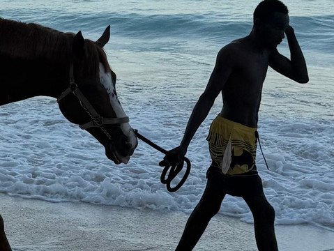 Pebbles Beach-布里奇顿必去景点