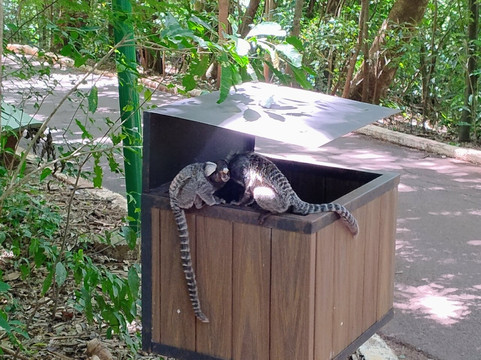Parque do Inga-Maringa必去景点