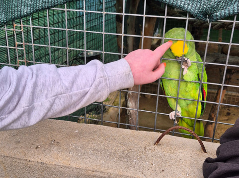 Quinta Fotoplanet Farm-阿尔布赞拉必去景点