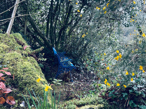 Greba Secret Gardens Greyabbey-Greyabbey必去景点