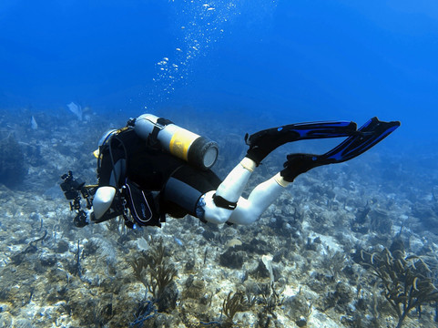 Scubaqua Dive Center-圣尤斯泰希厄斯岛必去景点