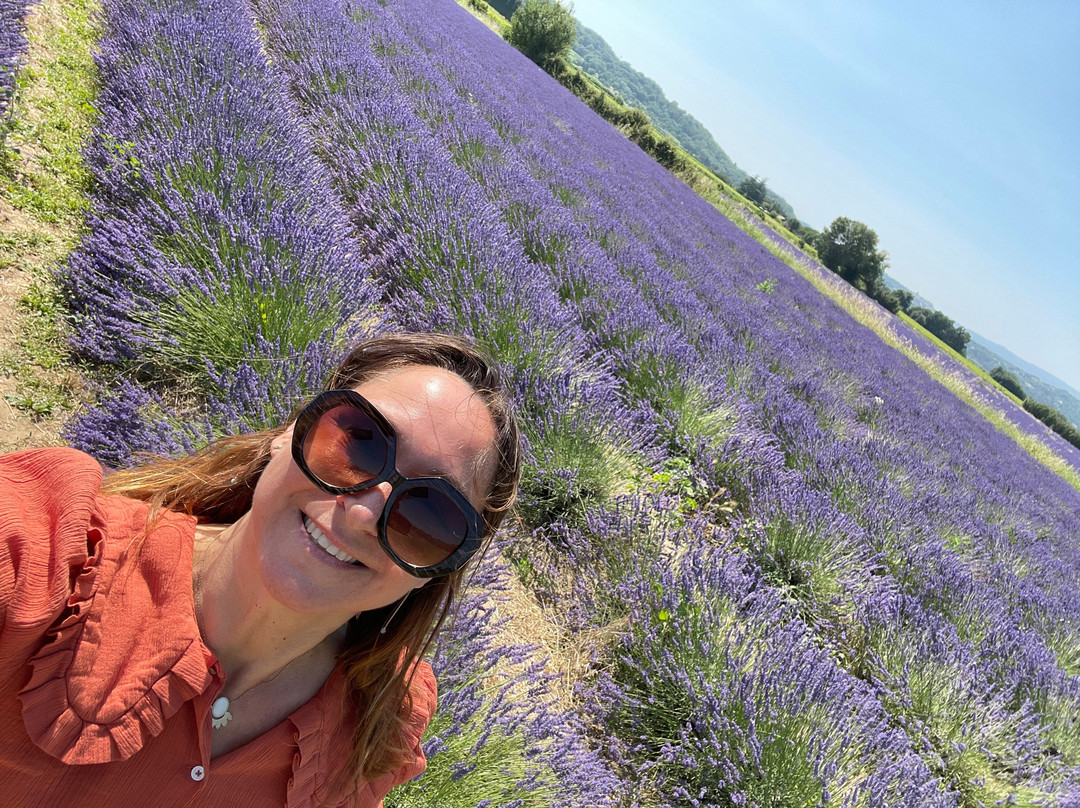 Madame Voyage En Provence-Rognes必去景点