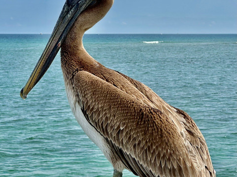 Boynton Inlet-博因顿海滩必去景点