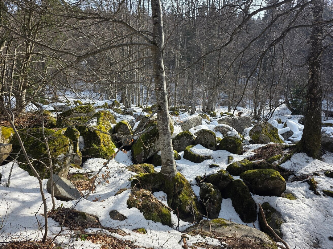 Zlatnite_Mostove -Golden Bridges-Sofia Region必去景点