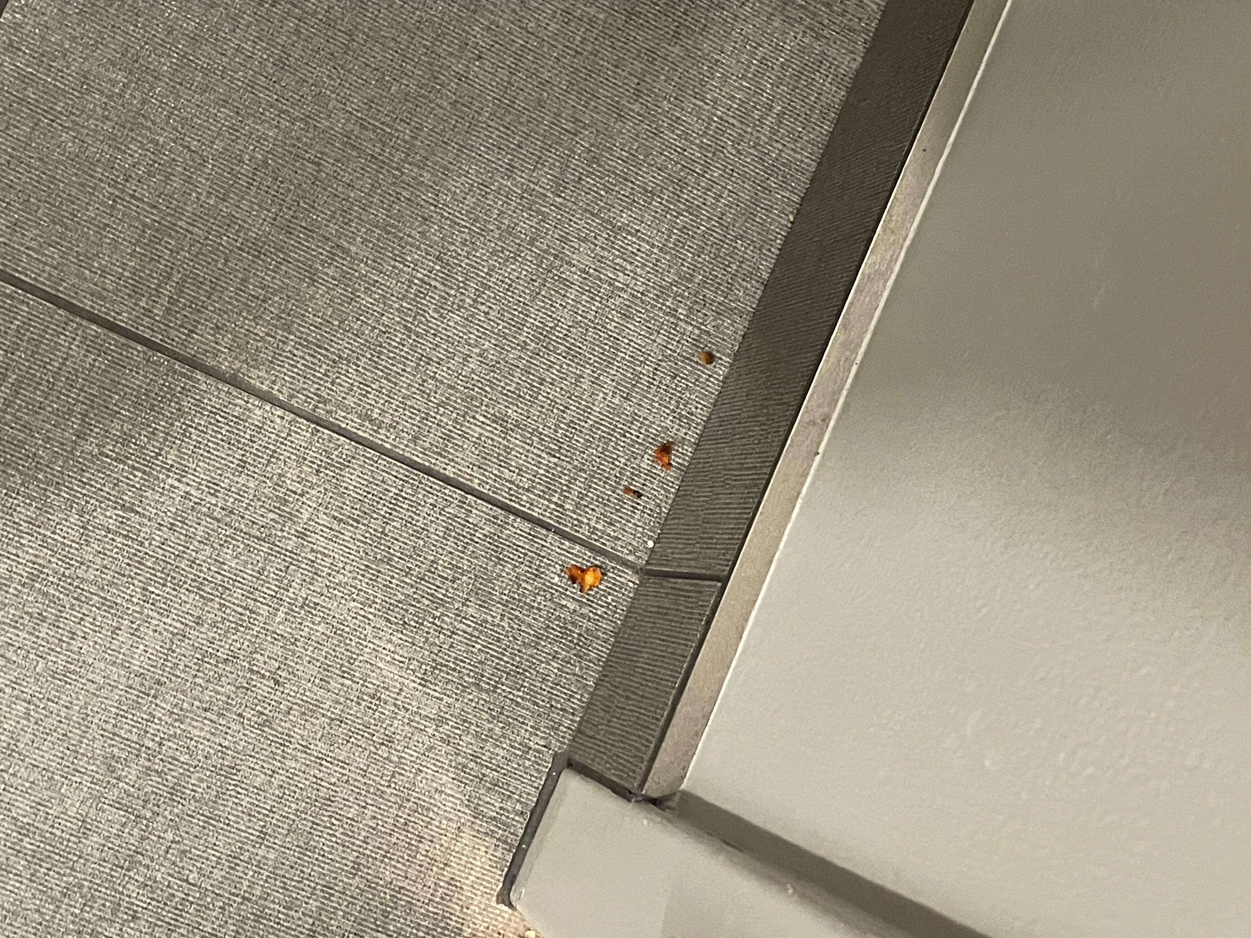 Maumee Bay Lodge And Conference Center-客卧