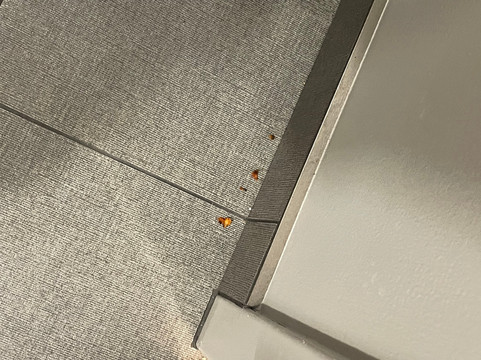 Maumee Bay Lodge And Conference Center主图