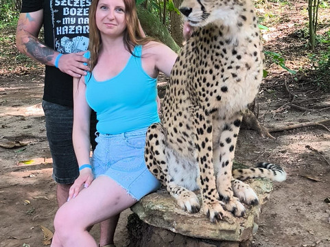 猎豹动物园-桑给巴尔岛必去景点