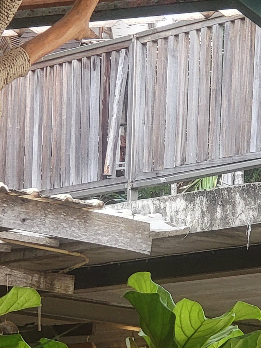 麦岛可可卡度假村-官方