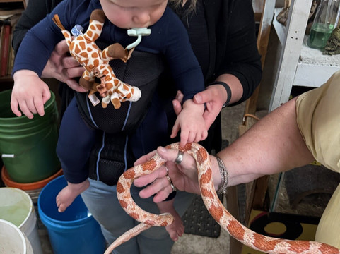 Snake World-Berryville必去景点