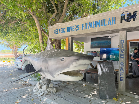 Pelagic Divers Fuvahmulah-Fuvahmulah必去景点
