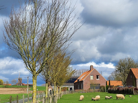 Het Meikenshof主图