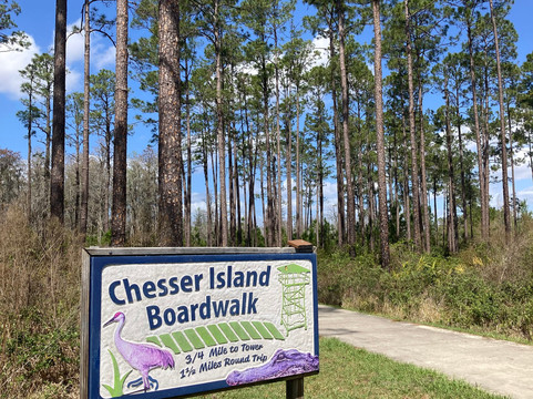 Okefenokee National Wildlife Refuge-Folkston必去景点