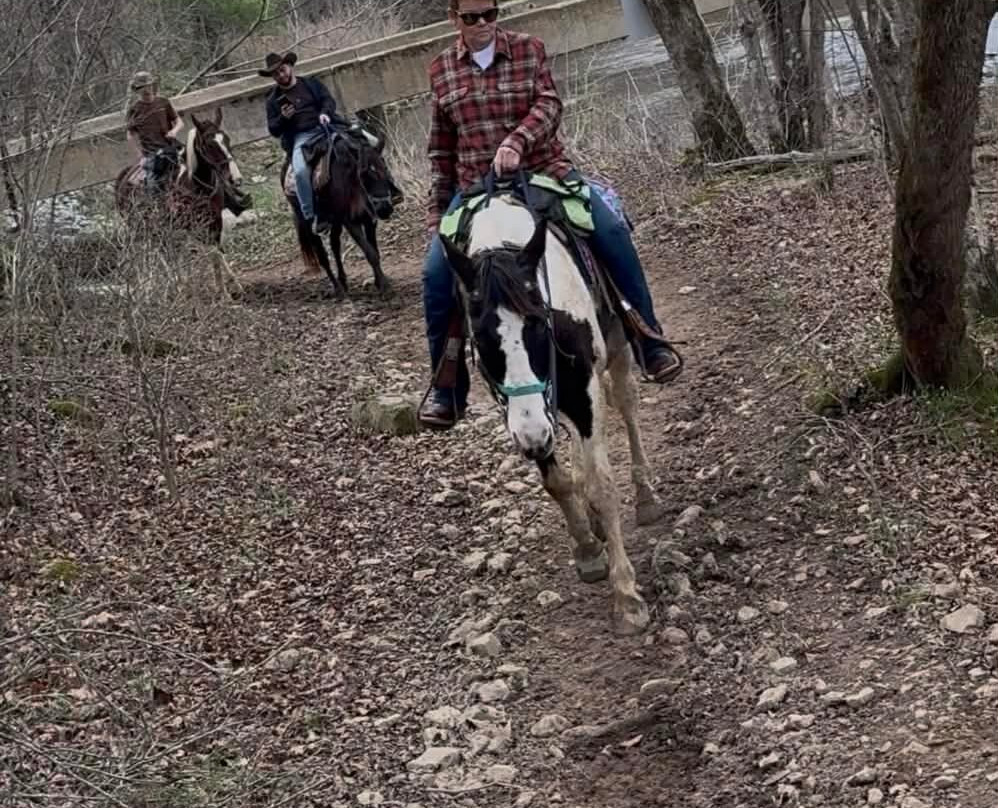 Natchez Trace Stables-Primm Springs必去景点