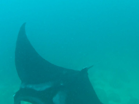 Panama Dive Center-Santa Catalina必去景点