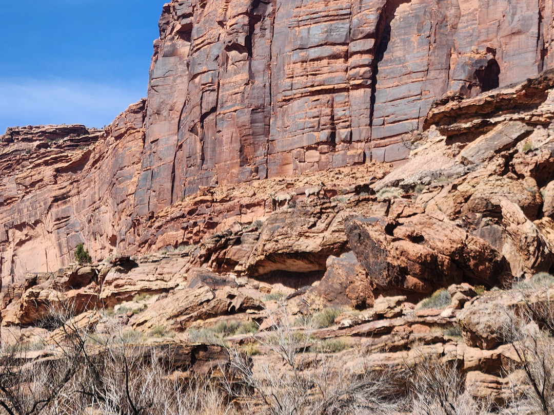 Mild to Wild Rafting and Jeep Tours-杜兰戈必去景点