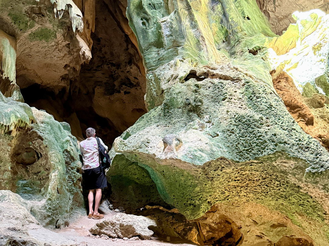 Dushi TukTuk Rentals-威廉斯塔德必去景点