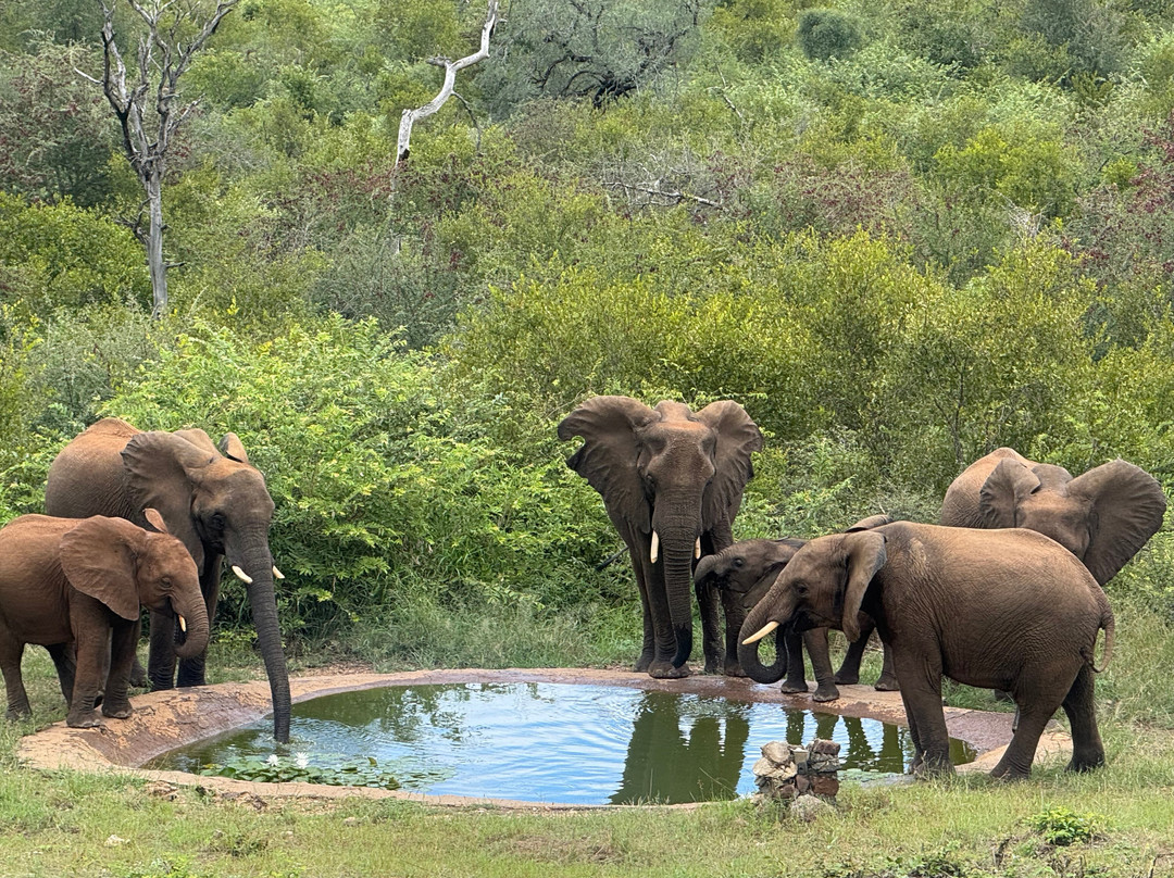 卡萨特甘姆山林小屋主图