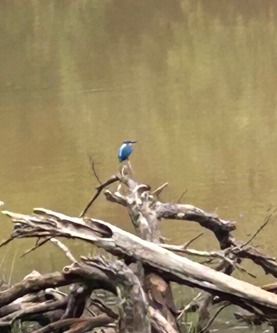 Flyingro Lanka Tours (Pvt) Ltd-Malabe必去景点