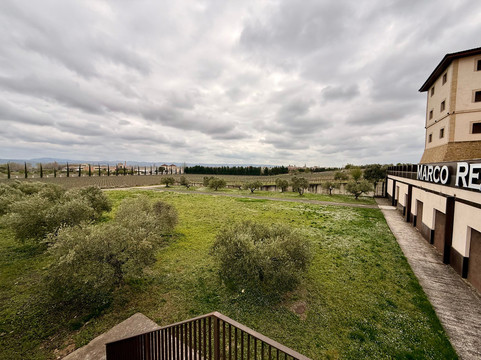 Bodegas Marco Real-Olite必去景点