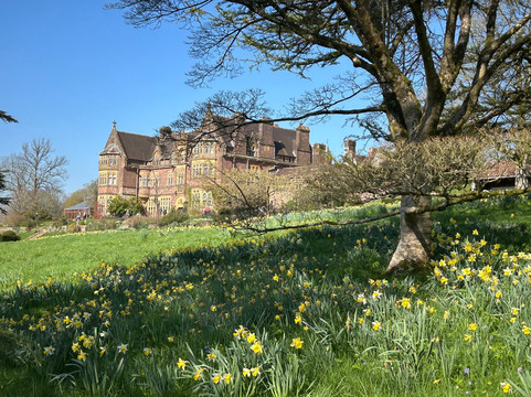 National Trust - Knightshayes Court-蒂弗顿必去景点