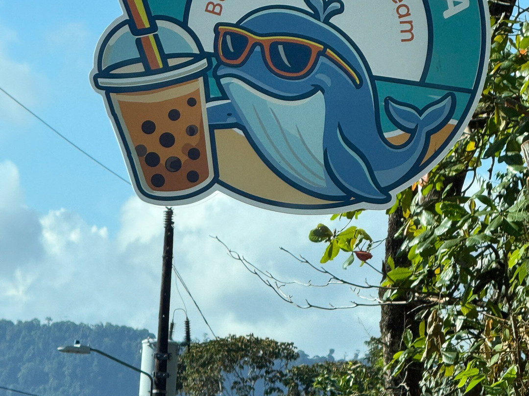 Boba La Ballena