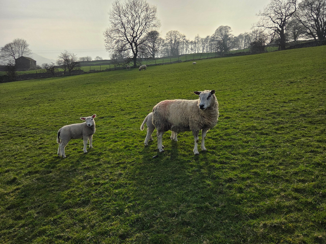 史托之家酒店主图