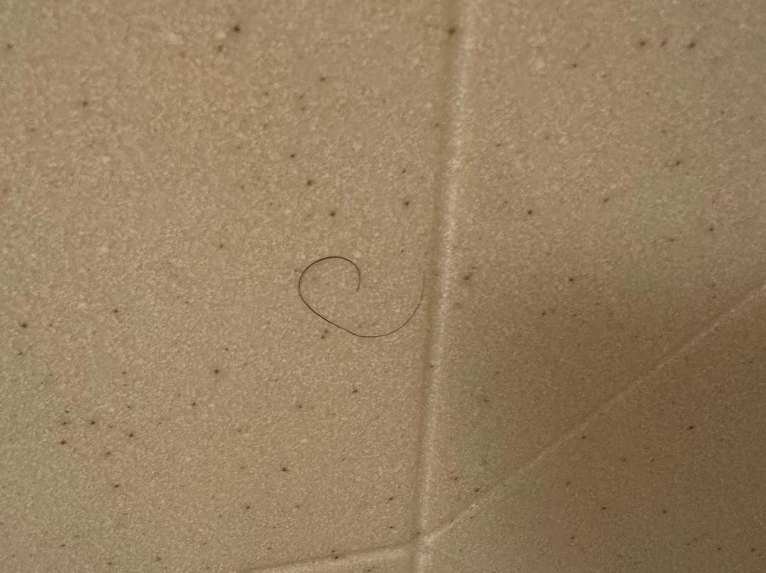 韦斯特福德切姆斯福德欢朋套房酒店主图