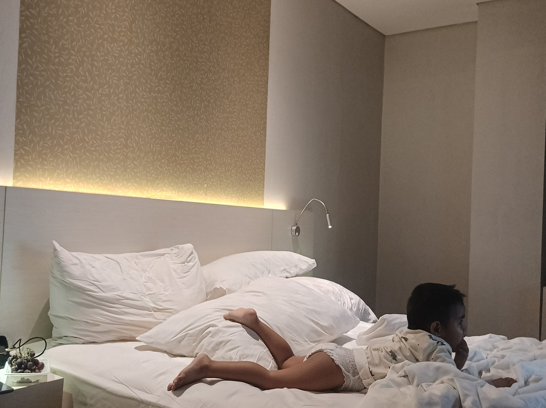 巴厘巴板瑞士贝尔旅店主图