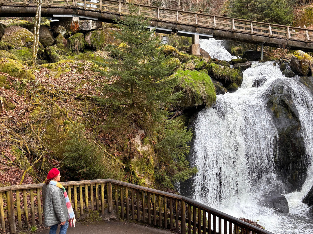 帕法福各姆酒店主图