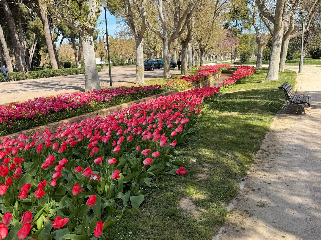 Parque Grande, Jose Antonio Labordeta-萨拉戈萨省必去景点