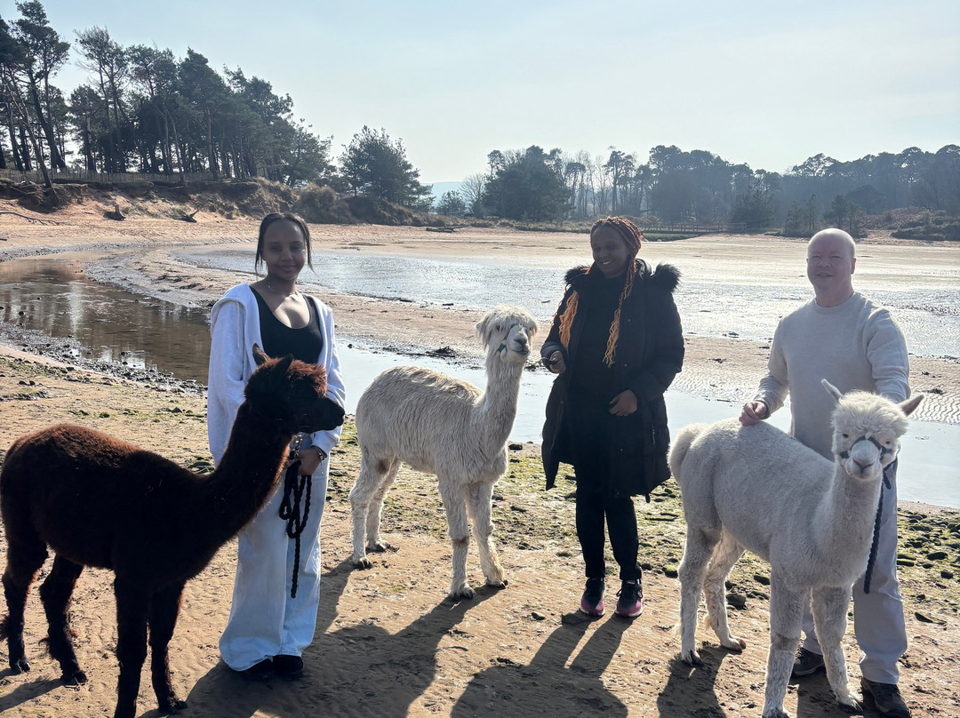 John Muir Alpacas-Dunbar必去景点