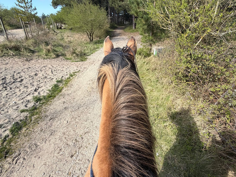 Espaces Equestres Henson-Saint-Quentin-en-Tourmont必去景点