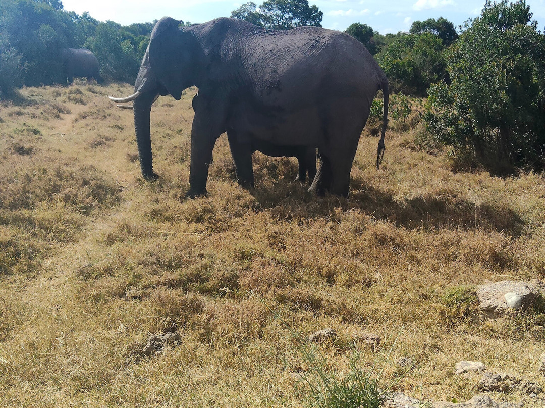 Ahambi Tours-南由基必去景点