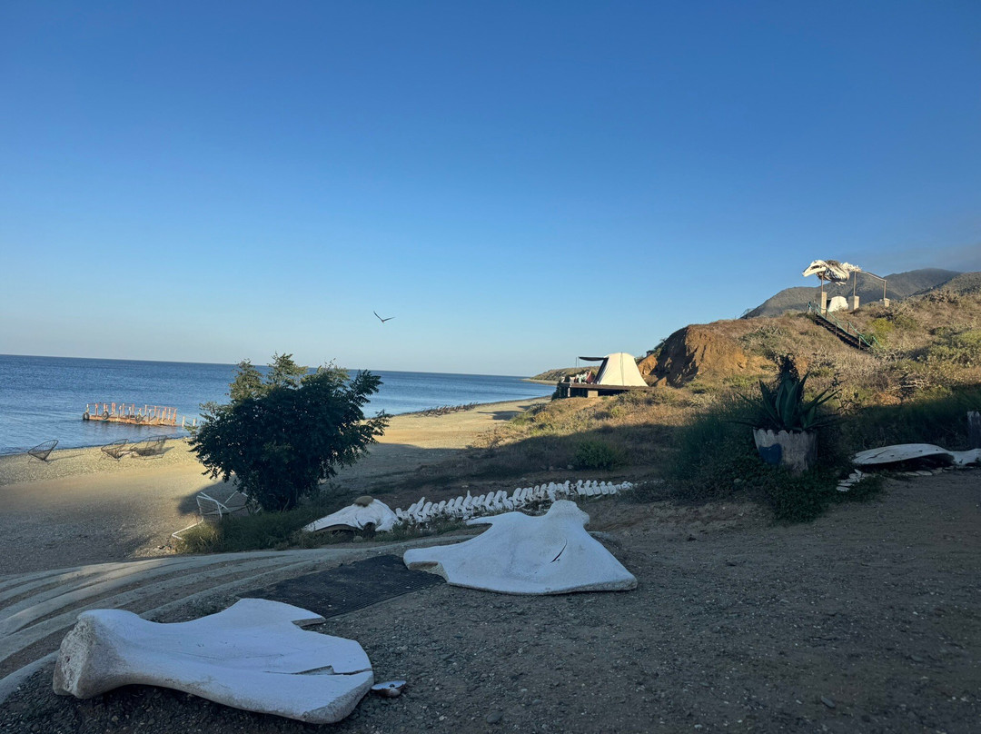 Magdalena Bay Whales-Puerto San Carlos必去景点
