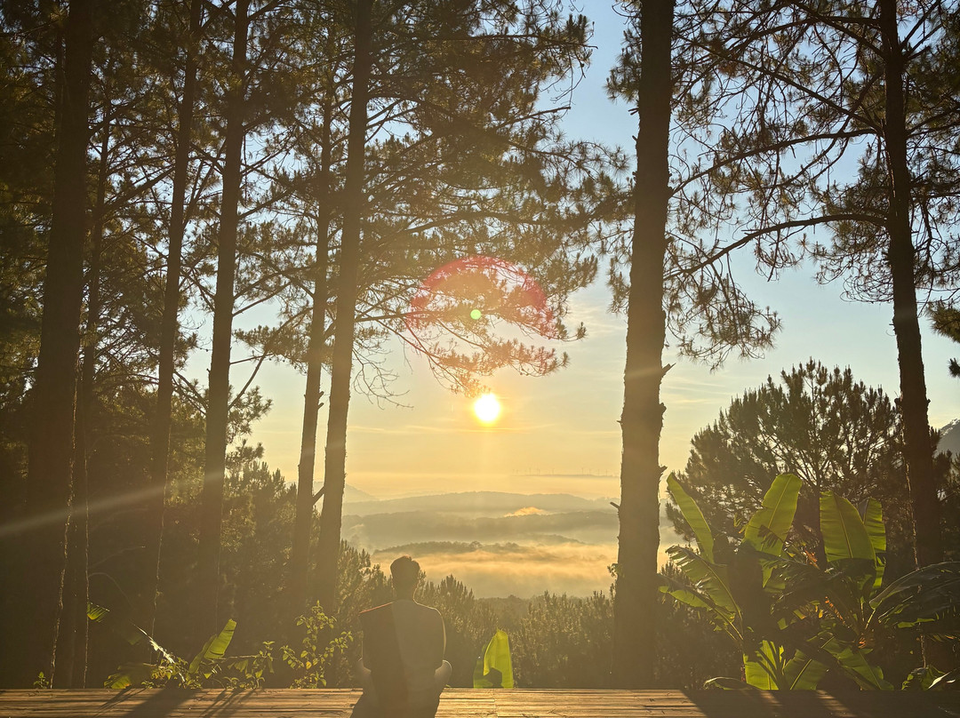 Sivananda Yoga Resort And Training Center-大勒必去景点
