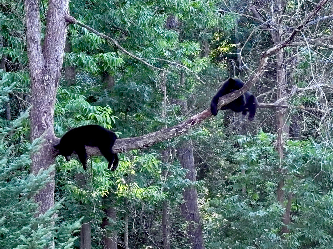Vince Shute Wildlife Sanctuary-Orr必去景点