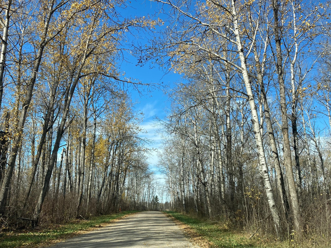 Riding Mountain National Park-Wasagaming必去景点