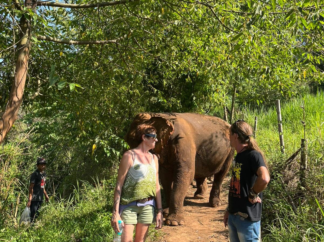 Elephant Sanctuary Care Park-清迈必去景点