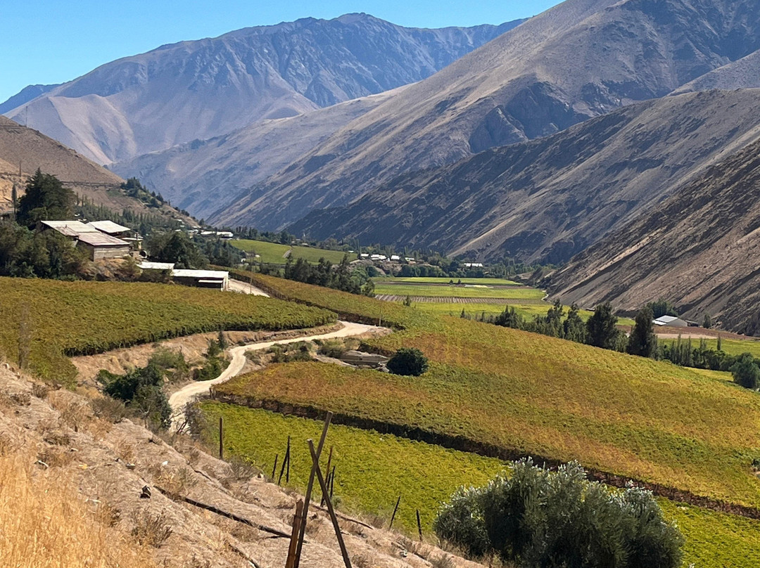 Elki Magic-Vicuna必去景点