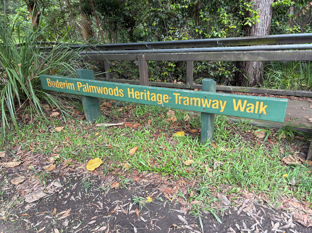 Buderim - Palmwoods Heritage Tramway-Buderim必去景点