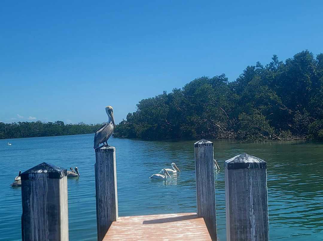 Island Boat Tours & Adventures-Bradenton Beach必去景点