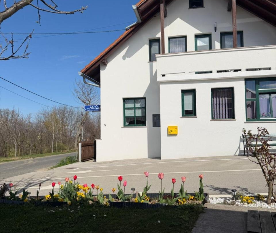 Apartman I Soba Hadela