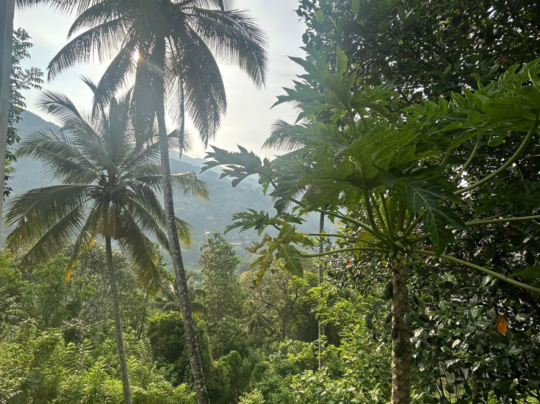 Risi Travels-加勒必去景点